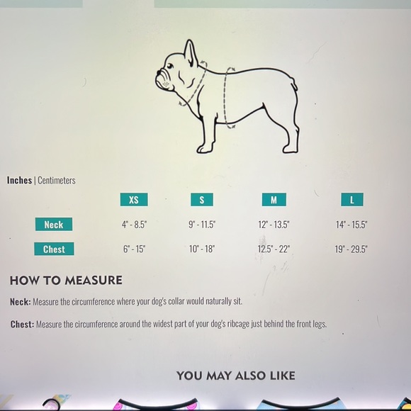 Frenchie Harness - Picture 4 of 4